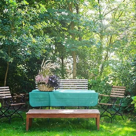 Vom Hauendamm Apartment *