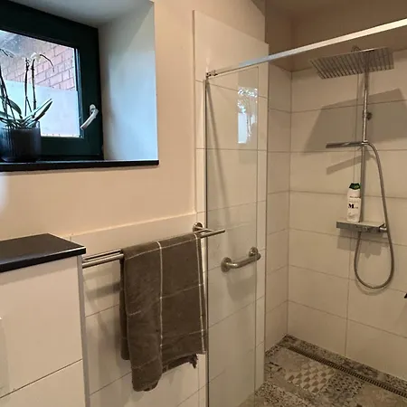 Vom Hauendamm Schwarme