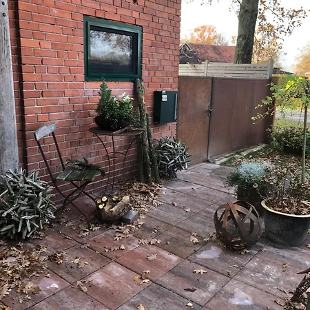 Vom Hauendamm Schwarme