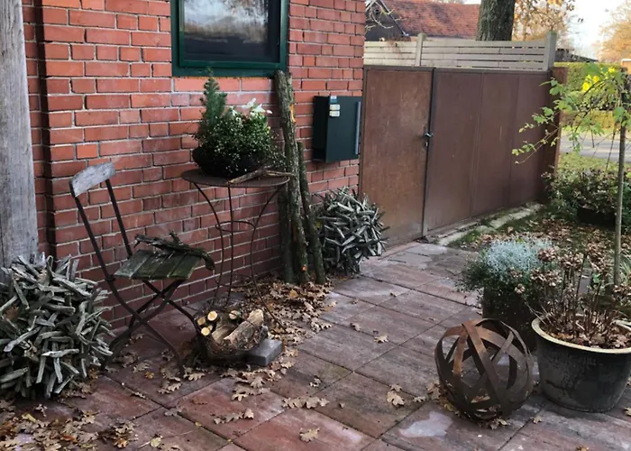 Vom Hauendamm Schwarme